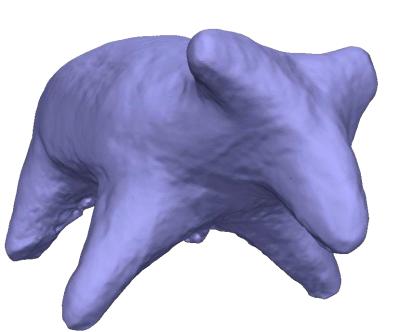 Von Studierenden erstelltes SfM-Modell einer Tierfigur aus der Lehrgrabung in Scanteia (Rumänien)