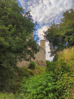 Archäologischer Radausflug nach Zellingen und Gössenheim